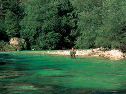 Fliegenfischen in Südkärnten und Slowenien